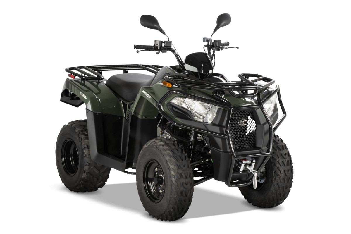 Buggy Polaris